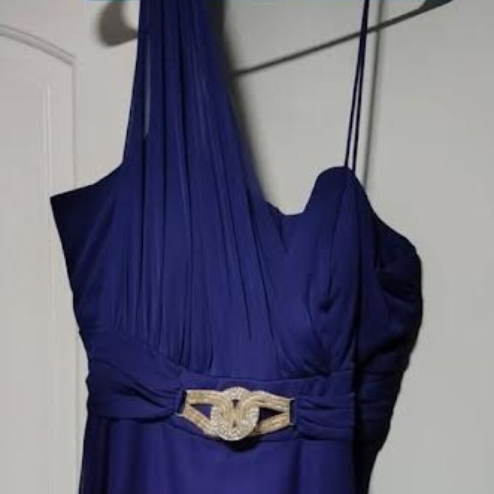 Gorgeous Betsy & Adam Dress